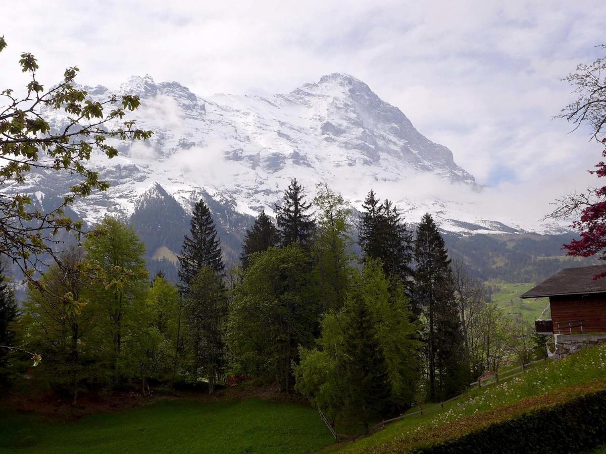 Apartment Chalet Jrene Grindelwald Buitenkant foto