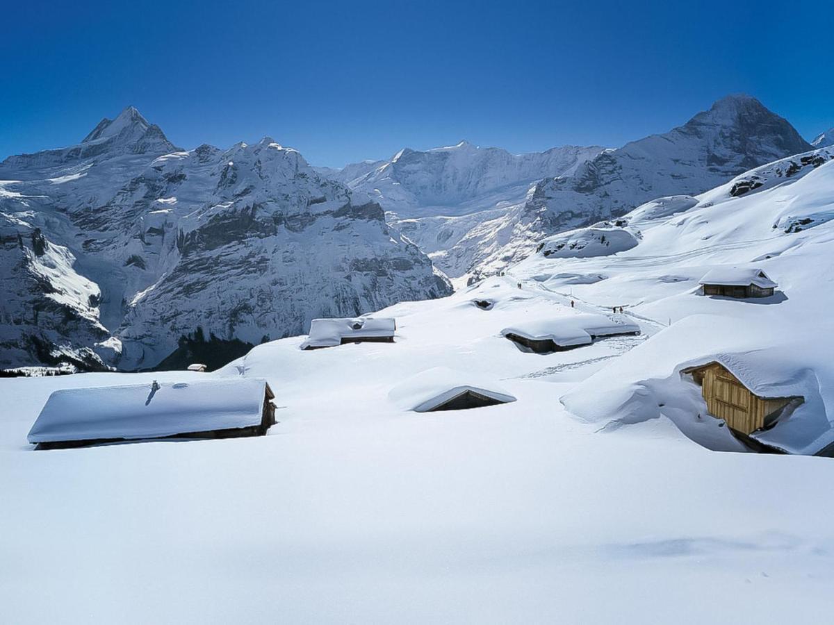 Apartment Chalet Jrene Grindelwald Buitenkant foto